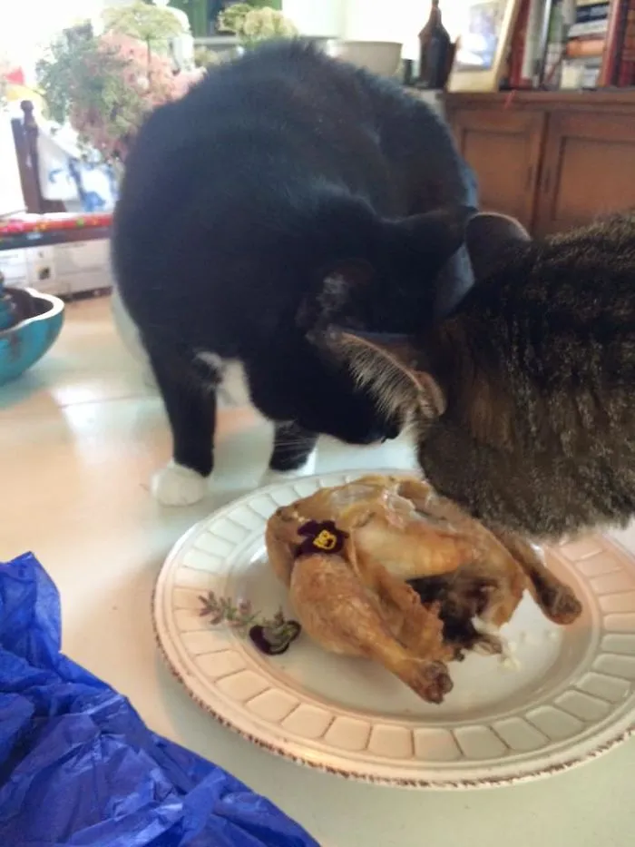 Jerry & Hank Celebrating- Jerry's 14th Adoption Anniversary