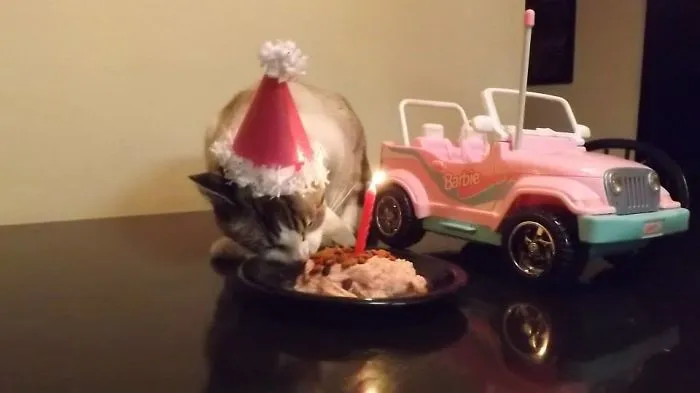 It Was Her 16th Birthday