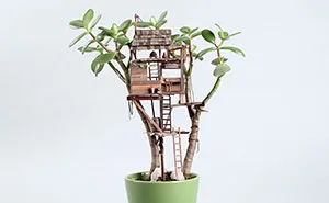 Miniature Tree Houses For Houseplants Are Just Perfect For Fairies