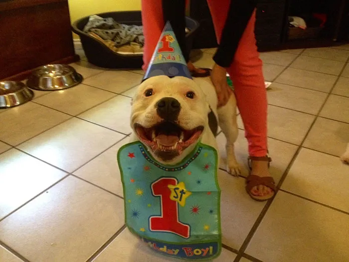 Our Birthday Boy
