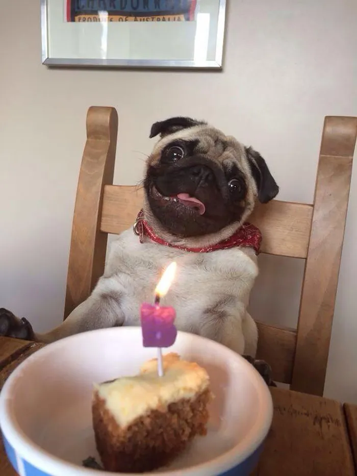Bruce Is 1 Today