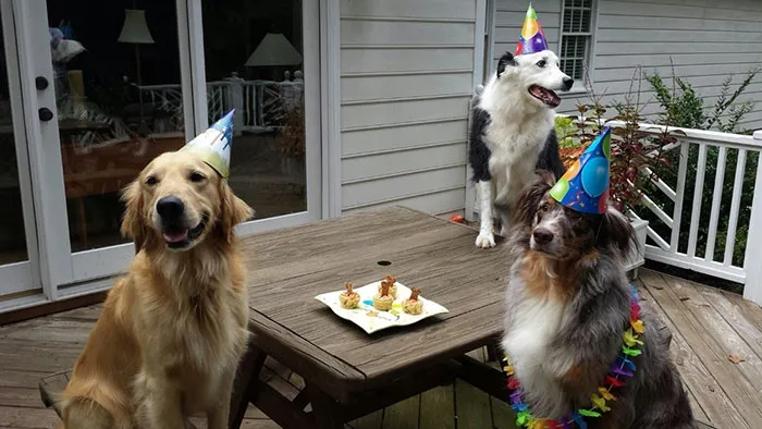 Woody's Birthday Was A Success