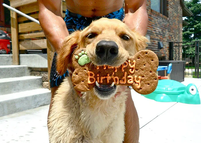 How About Some Love For My Pup On His Birthday?