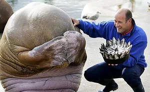 112 Pets Having Better Birthday Parties Than You