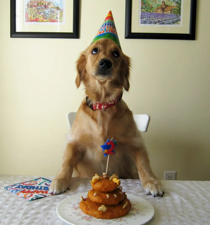 My Birthday Wish