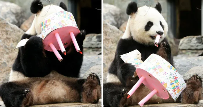 Funi Celebrating Her 4th Birthday
