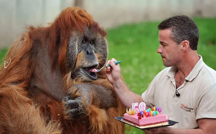 50th Major Birthday