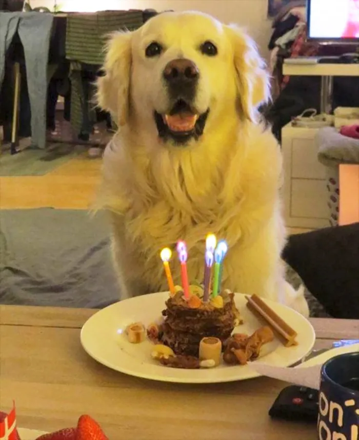 Birthday Boy