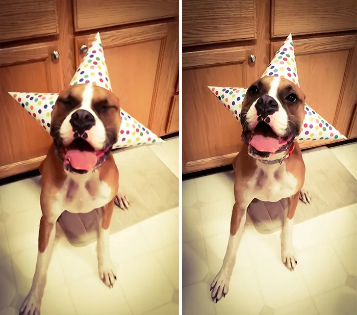 1st Birthday