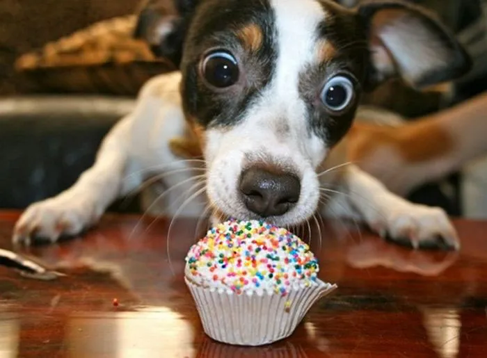 That's My Cupcake