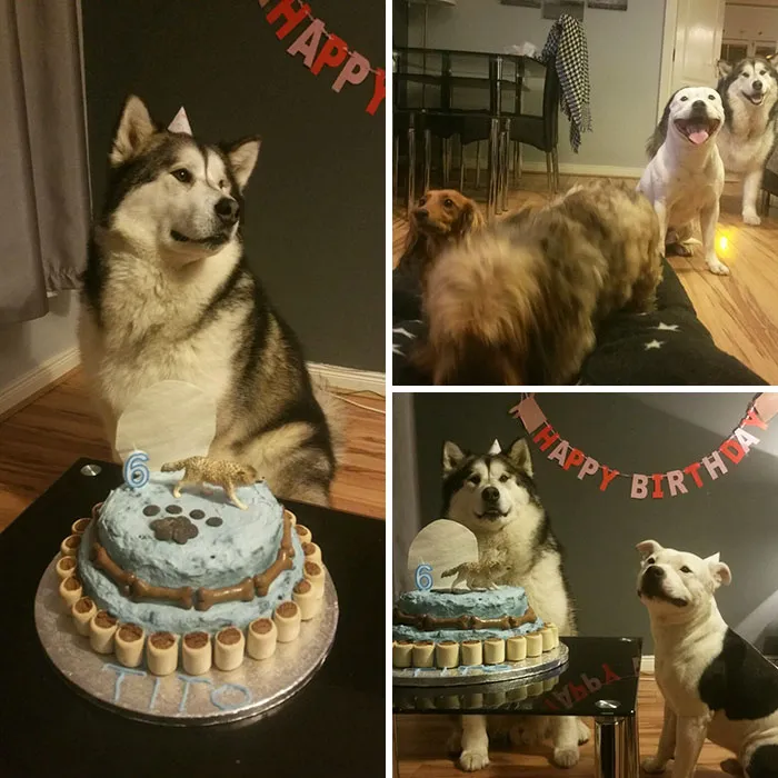 That Time Of Year Again. My Boy Had Another Party For His 6th Birthday