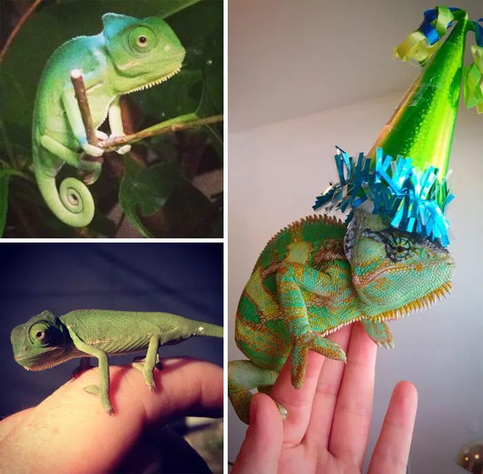 It's My Birthday!