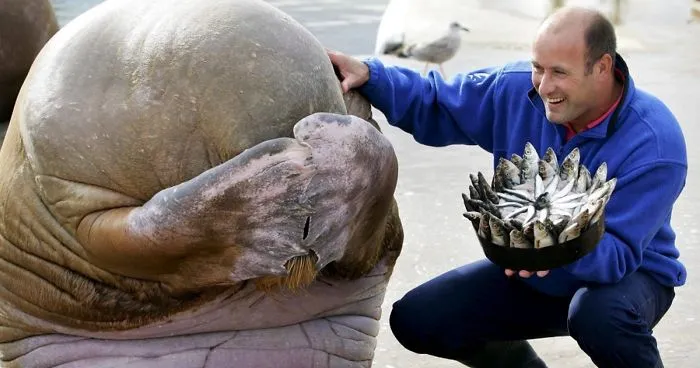 112 Pets Having Better Birthday Parties Than You
