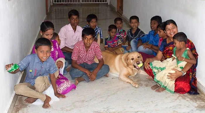 My Labrador Pogo's 4 The Birthday With Her Friends.