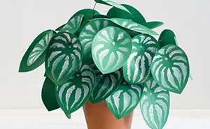 I Couldn't Grow Real Plants So I Made These Paper Ones