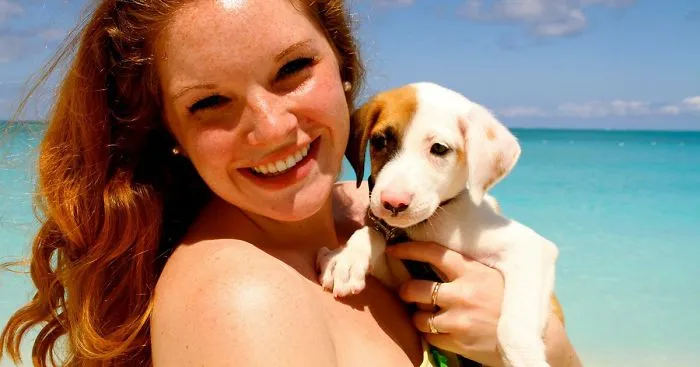 There Is An Island Where You Can Cuddle Puppies On The Beach Or Even Adopt Them