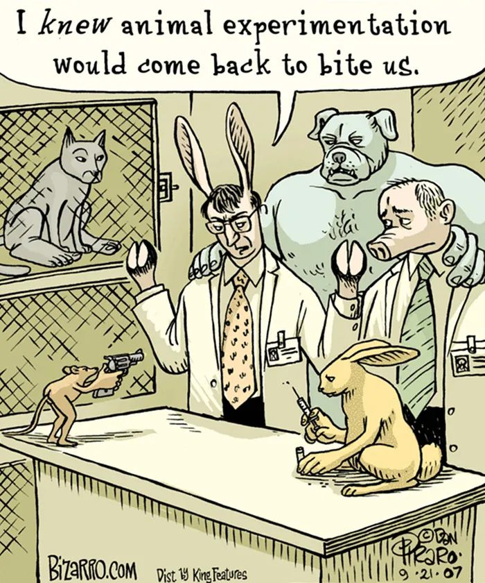 In A Parallel Universe