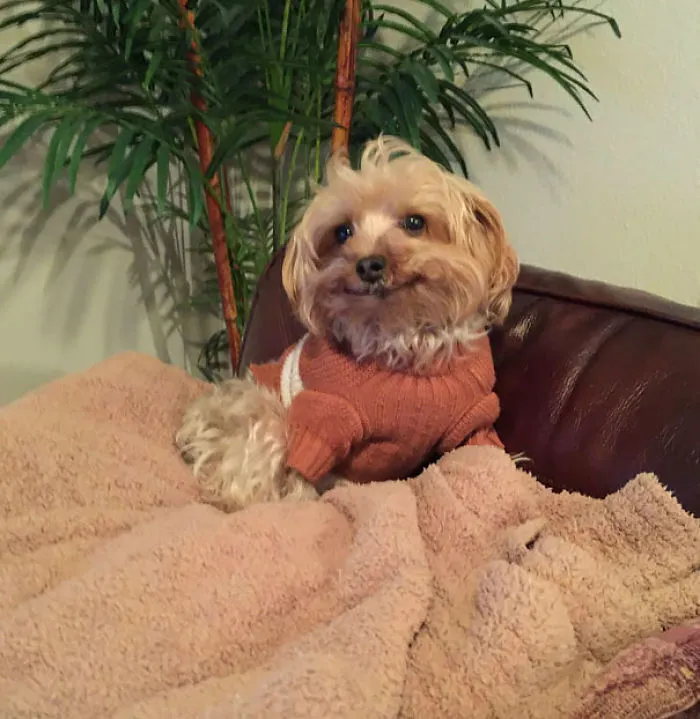 201 Smiling Animals That Will Instantly Make You Smile