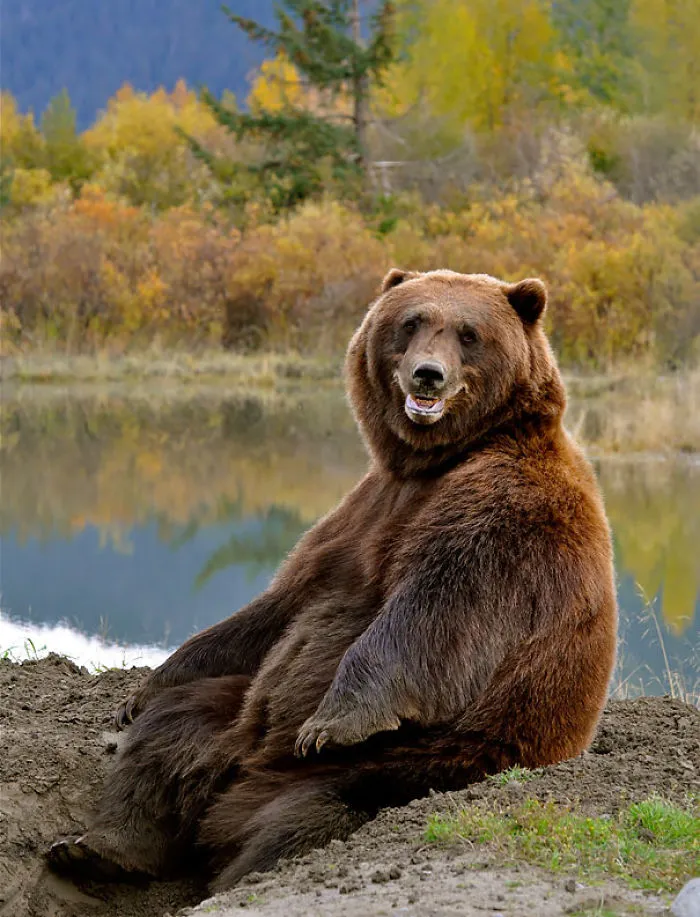 201 Smiling Animals That Will Instantly Make You Smile