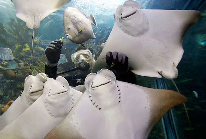 201 Smiling Animals That Will Instantly Make You Smile