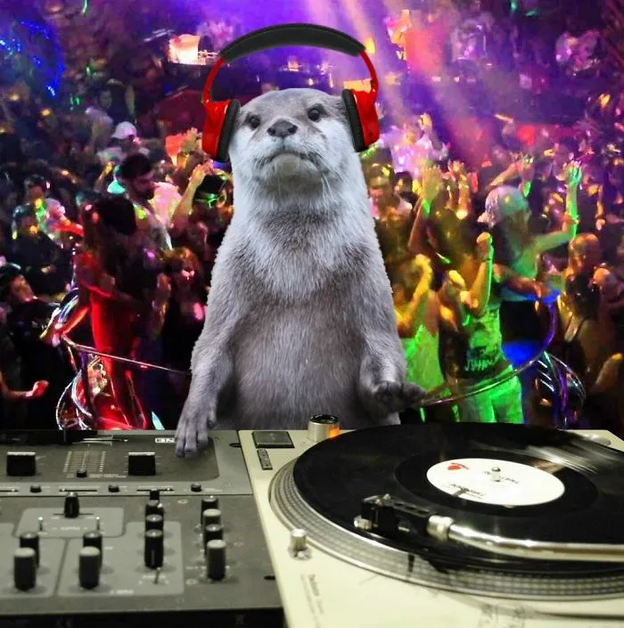 Disc Otter