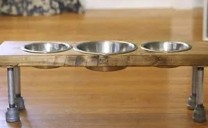 Easily Make An Elevated Dog Feeder