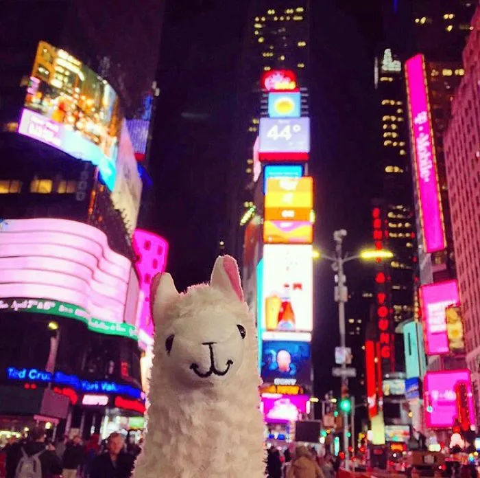 Strolling In Times Square