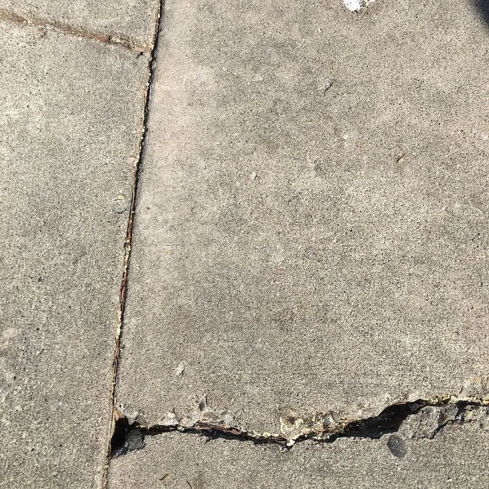 I Found Today On The Street