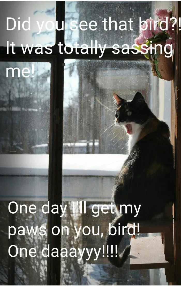 Birds Are Such A Tease!