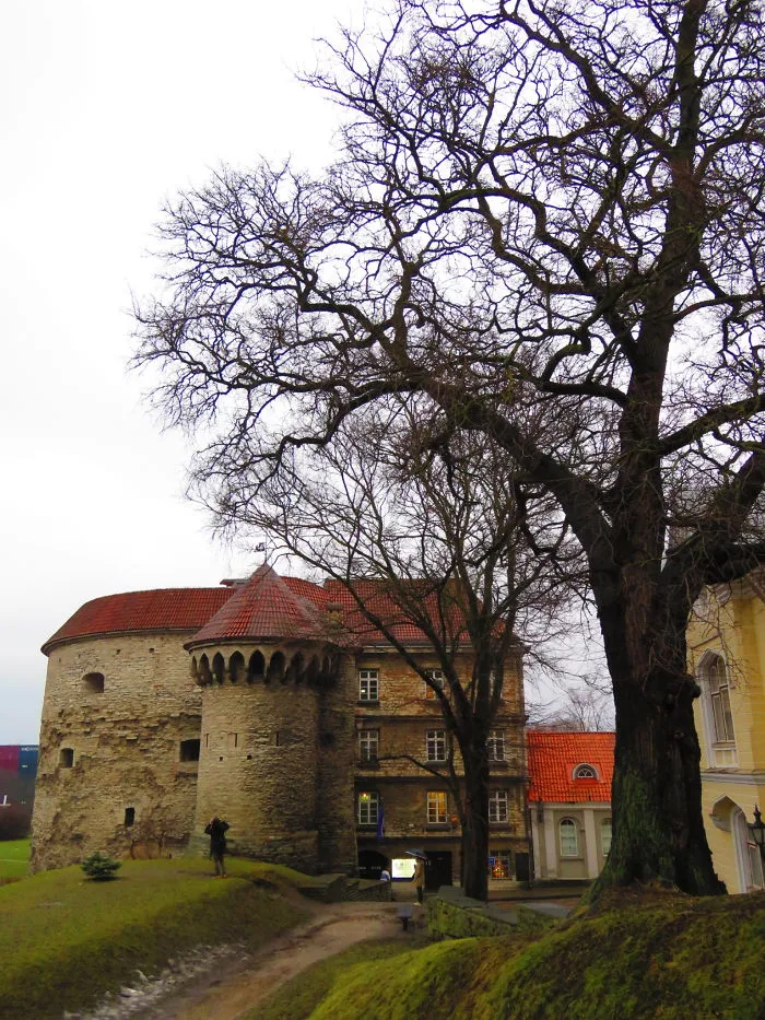 Tallinn, Estonia