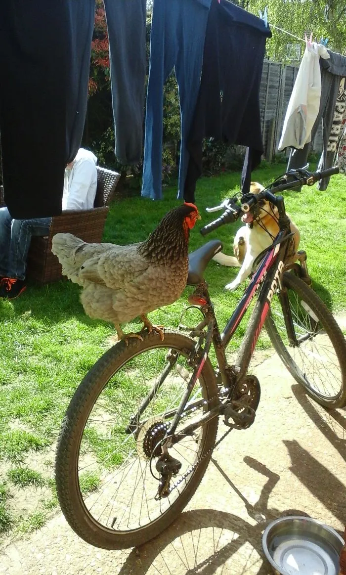 Getting Ready For The Tour De France!