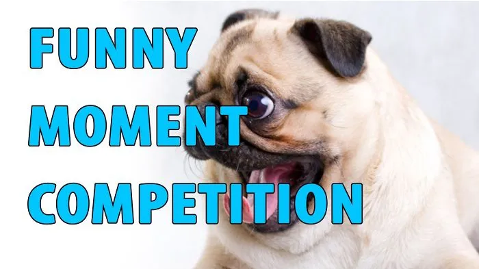 Funny Animal Moment !!!