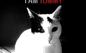 I Am Tommy