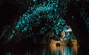 Glow Worms Turn New Zealand Cave Into Starry Night And I Spent Past Year Photographing It