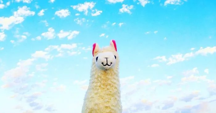 Llama With No Drama Goes On Vacations Around The World