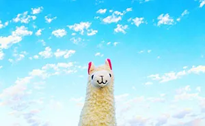 Llama With No Drama Goes On Vacations Around The World