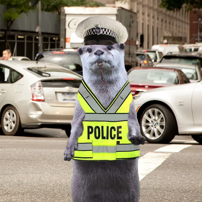 Traffic Cop