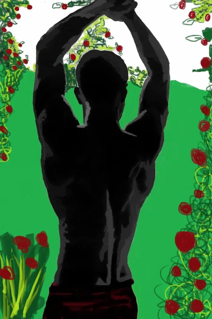 I Used Paint From Microsoft To Draw