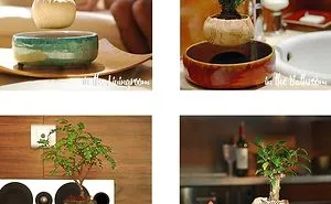 Your Own Levitating Zen Garden Is Now Avaliable In Europe!