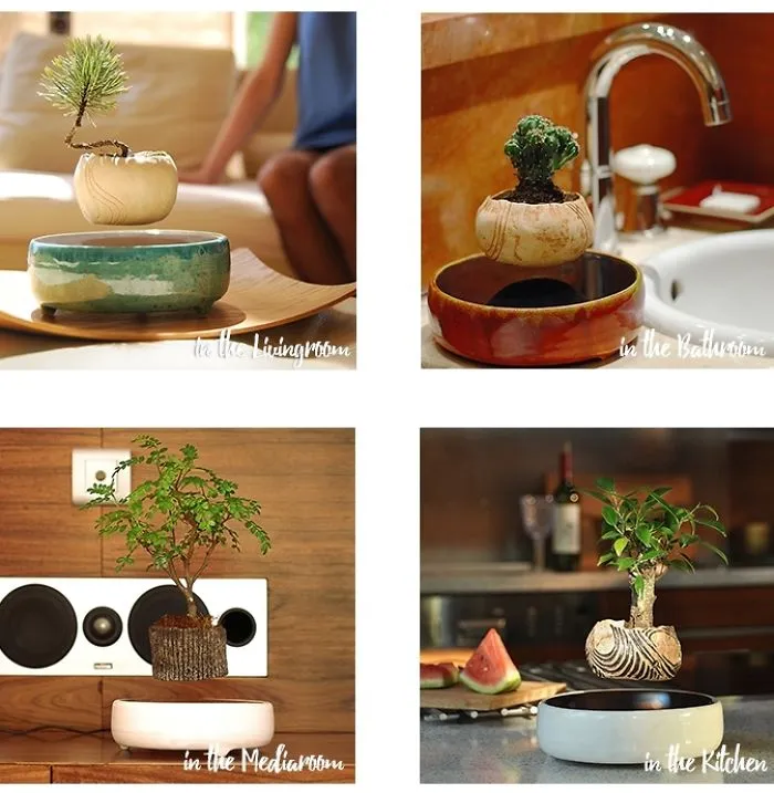 Your Own Levitating Zen Garden Is Now Avaliable In Europe!