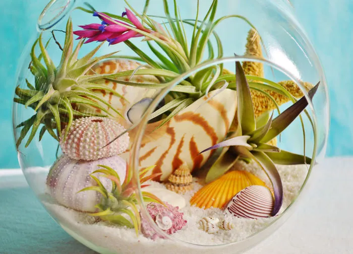 Amazing Beach Terrariums Ensure A Year Round Summer