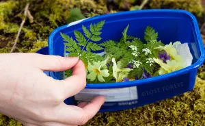 I Handpick Flowers From Irish Woodlands To Transform Them Into Beautiful Jewelry Pieces