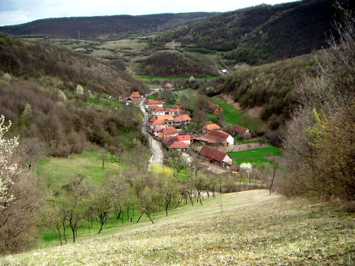 Bretelin, Romania