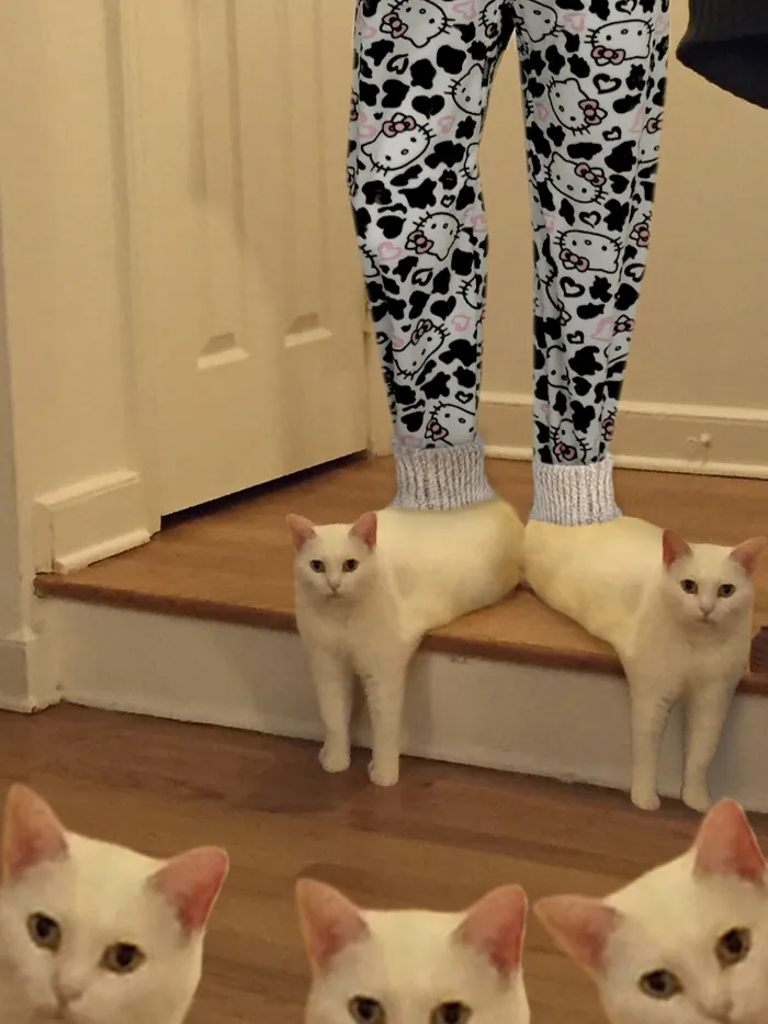 Cappers! [catslippers]