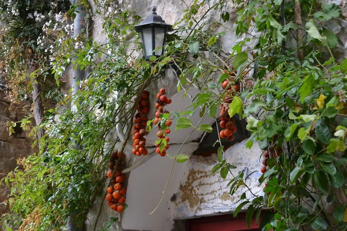 Mesta Village, Chios Greece