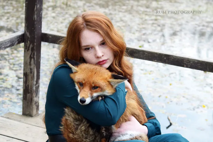 Fairytail With Foxes