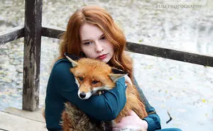 Fairytail With Foxes