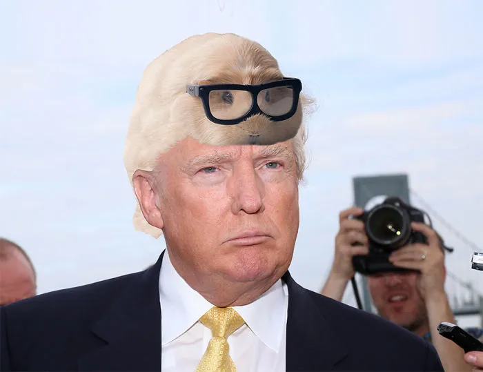 It Just Had To Be Done