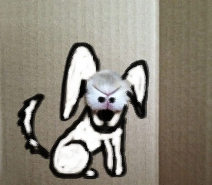 Doggie