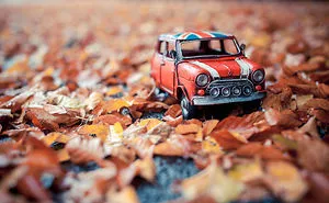 Exploring This Big Wild World With My Little Cars